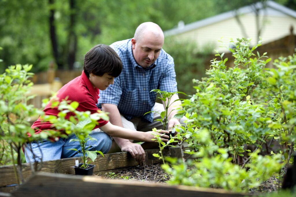 Father tending a garden with child
